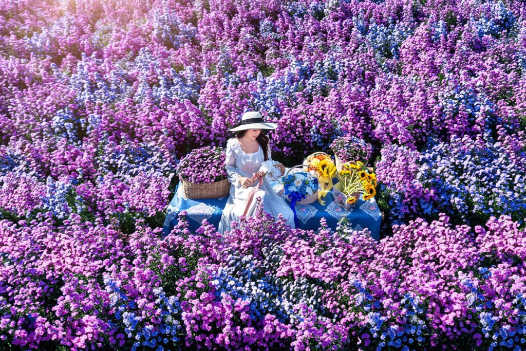 Beautiful girl in white dress sitting in Margaret flowers.